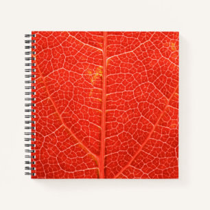 Autumnal Leaf Notizbuch