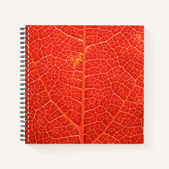 Autumnal Leaf Notizbuch (Vorderseite)