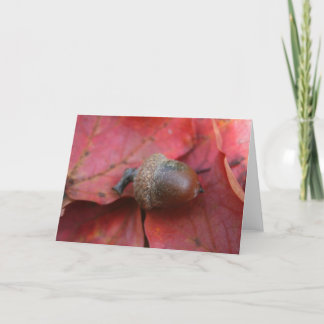 AUTUMNS PROMISS KARTE