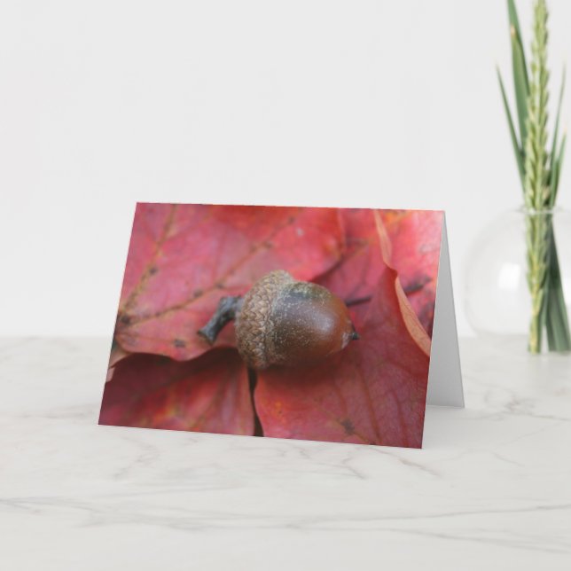 AUTUMNS PROMISS KARTE (Vorderseite)