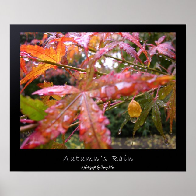 Autumn's Rain Poster (Vorne)