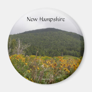 Autunm im New Hampshire Kühlschrank-Magneten Magnet