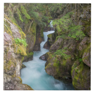 Avalanche Creek, Glacier National Park, Montana Fliese