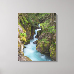 Avalanche Creek, Glacier National Park, Montana Leinwanddruck