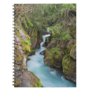 Avalanche Creek, Glacier-Nationalpark, Montana Notizblock