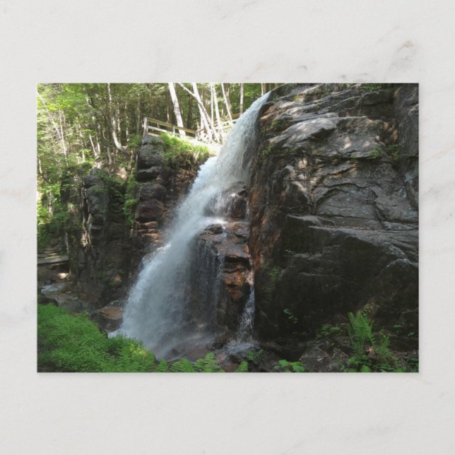 Avalanche Falls Postkarte (Vorderseite)