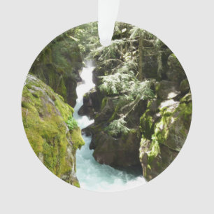 Avalanche Gorge II dans le parc national de Glacie