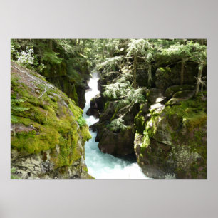 Avalanche Gorge II im Glacier-Nationalpark Poster