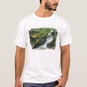 Avalanche Gorge im Glacier National Park in T-Shirt