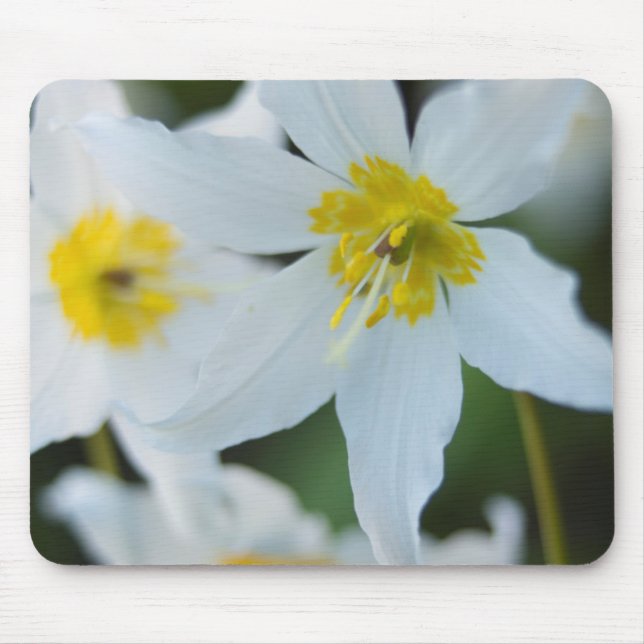 Avalanche Lilies im Paradise Park Mousepad (Vorne)