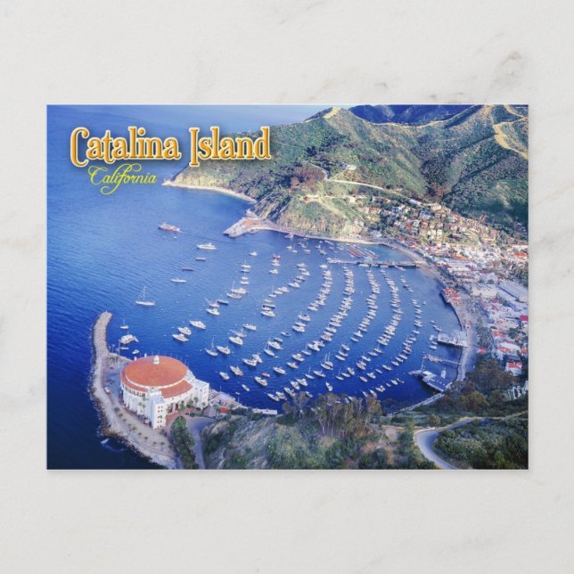 Avalon Bay, Catalina Island, Kalifornien Postkarte (Vorderseite)