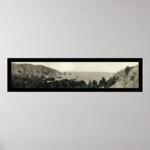 Avalon Catalina Island Photo 1911 Poster