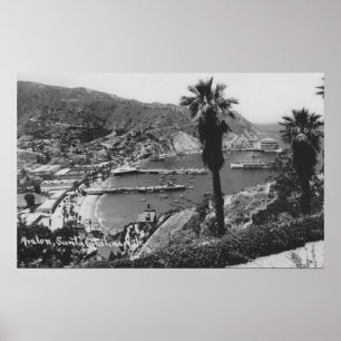 Avalon, Insel CAs Sankt Catalina Ansicht des Poster