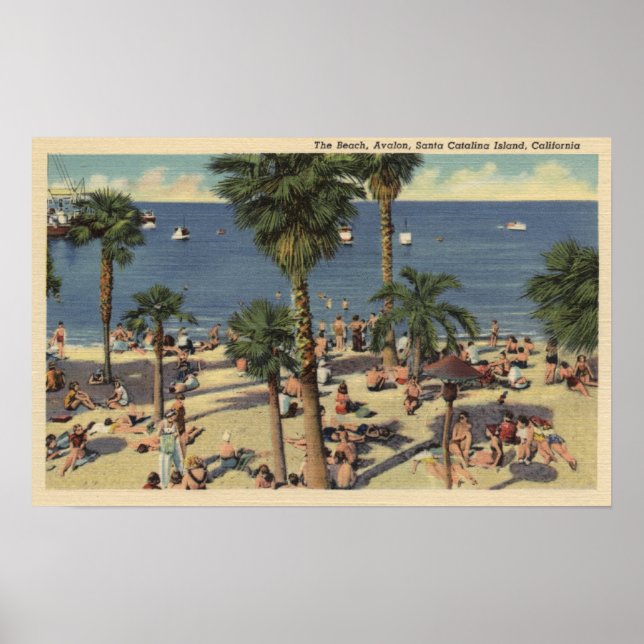 Avalon View Beach mit Sonnenbädern Poster (Vorne)
