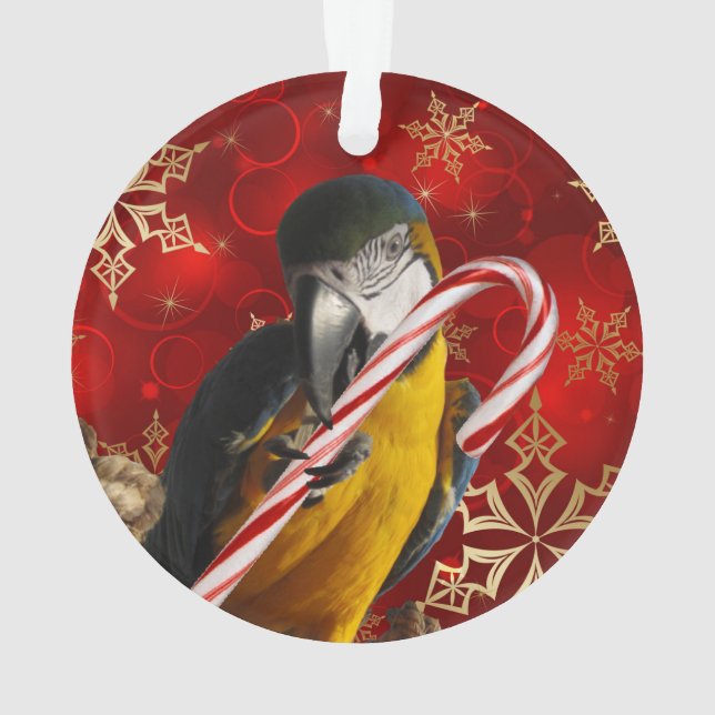 Avant et dos faits sur commande d'ornement de (dos)