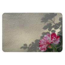 Avantgarde-Rose und Schatten