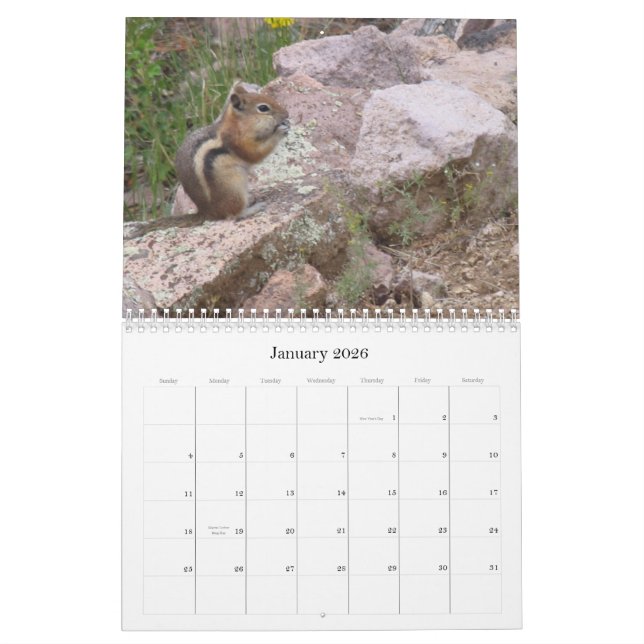 Avatara-Eigenschaften-Natur-Kalender Kalender (Jan 2026)