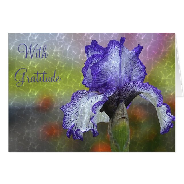 "Avec gratitude" Merci (Devant Horizontal)