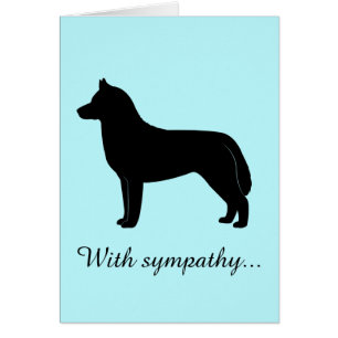 Avec la sympathie : Perte d'un chien de traîneau