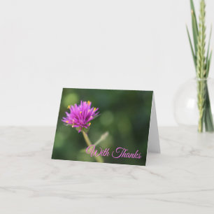 Avec Merci Nature Photographie Purple Fleur
