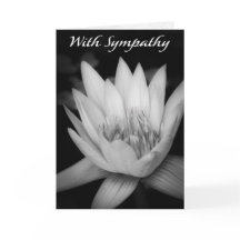 “Avec sympathie” Carte de vœux pliée nénuphar C