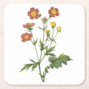 avens(Geum coccineum) von Redouté Rechteckiger Pappuntersetzer