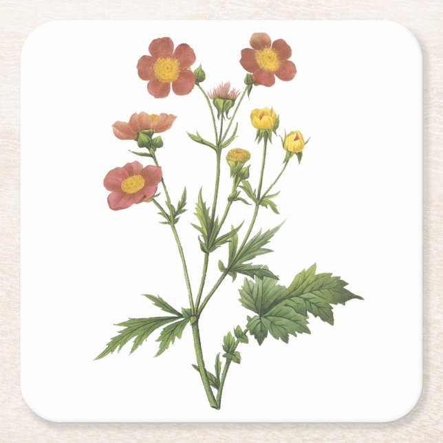avens(Geum coccineum) von Redouté Rechteckiger Pappuntersetzer (Vorderseite)