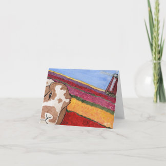 Aventures de noix de coco : Carte de voeux de mai 