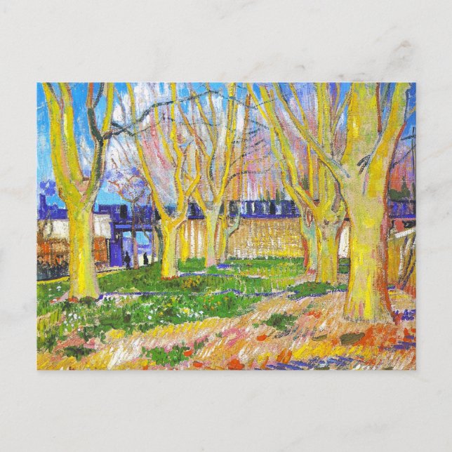 Avenue of Flugzeug Trees near Arles Station by Vin Postkarte (Vorderseite)