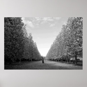 Avenue of Flugzeug Trees: Tokio (schwarz/weiß) Poster