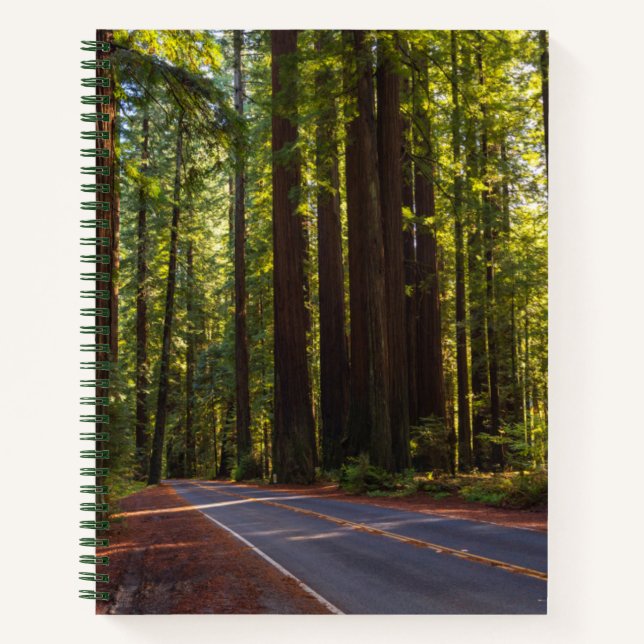 Avenue of Giant Redwood California Notizbuch (Vorderseite)