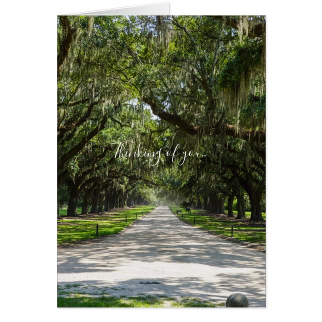 Avenue of Oaks Denken Sie an Ihre Karte (Vorne)