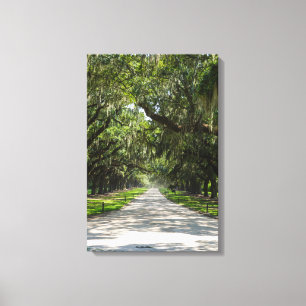 Avenue of Oaks Leinwanddruck
