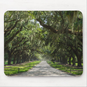 Avenue of Oaks Mousepad