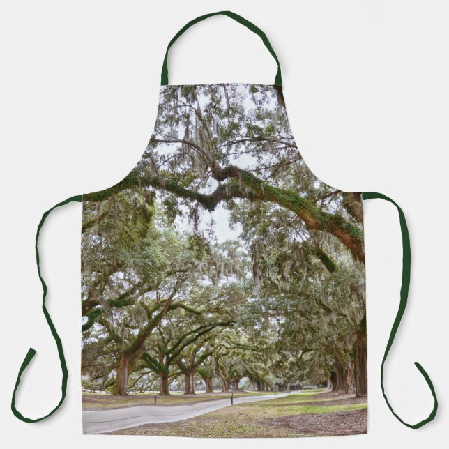Avenue of Oaks, South Carolina Schürze (Vorderseite)