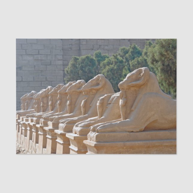 Avenue of Sphinxes in Karnak Temple - Ägypten Seidenpapier (Vorderseite)