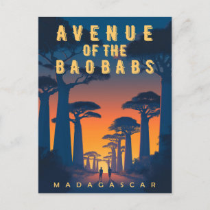 Avenue of the Baobabs Madagascar - Retro African Postkarte
