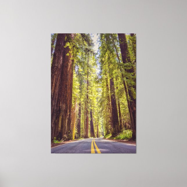Avenue of the Giants Leinwanddruck (Vorderseite)