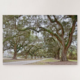 Avenue of the Oaks, South Carolina