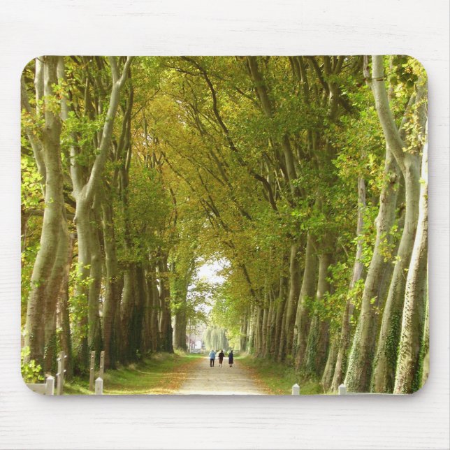 Avenue of Trees Mouse Mat Mousepad (Vorne)