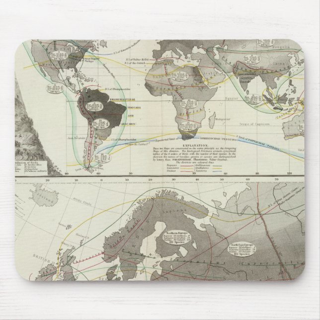 Aves, Vögel Mousepad (Vorne)