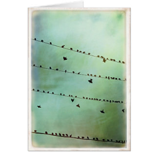 Avez-vous entendu ? - Blanc