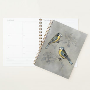 Aviaire argenté Couple d'oiseaux