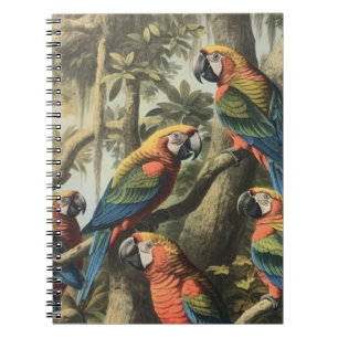 Avian-Versammlungs-Naturforscher-Journal & Dschung Notizblock