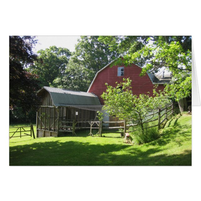 Aviär (Vorderseite (Horizontal))