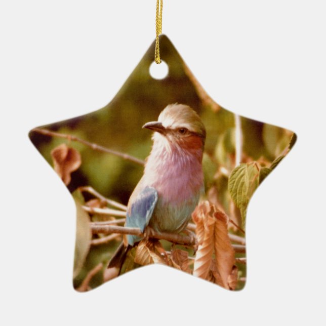 Aviär Keramikornament (Vorne)