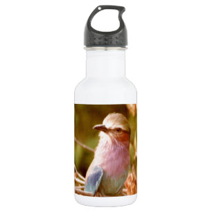 Aviär Trinkflasche