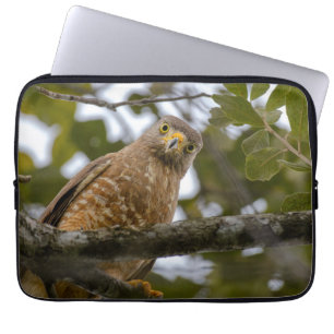 Aviäre Fotografie, Roadside Hawk Laptopschutzhülle