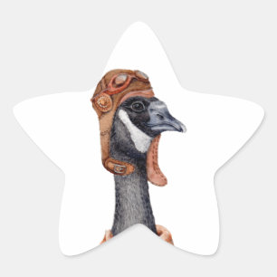 Aviator Goose Stern-Aufkleber
