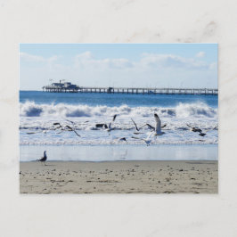 Avila Beach Postcard Postkarte